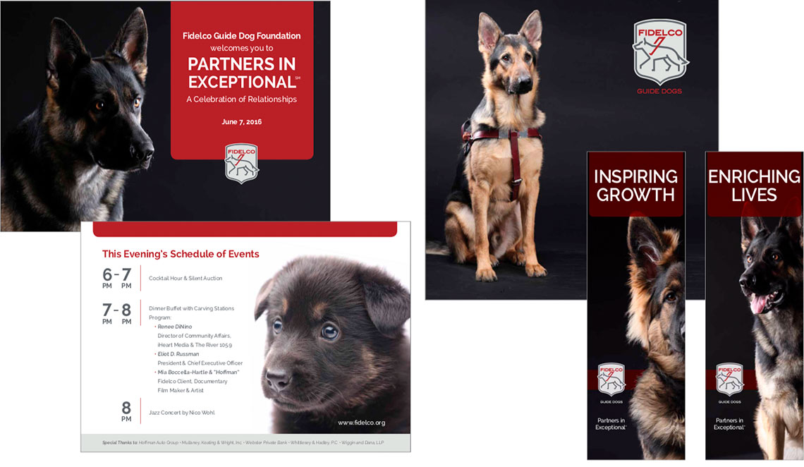 Fidelco Guide Dog brochure 